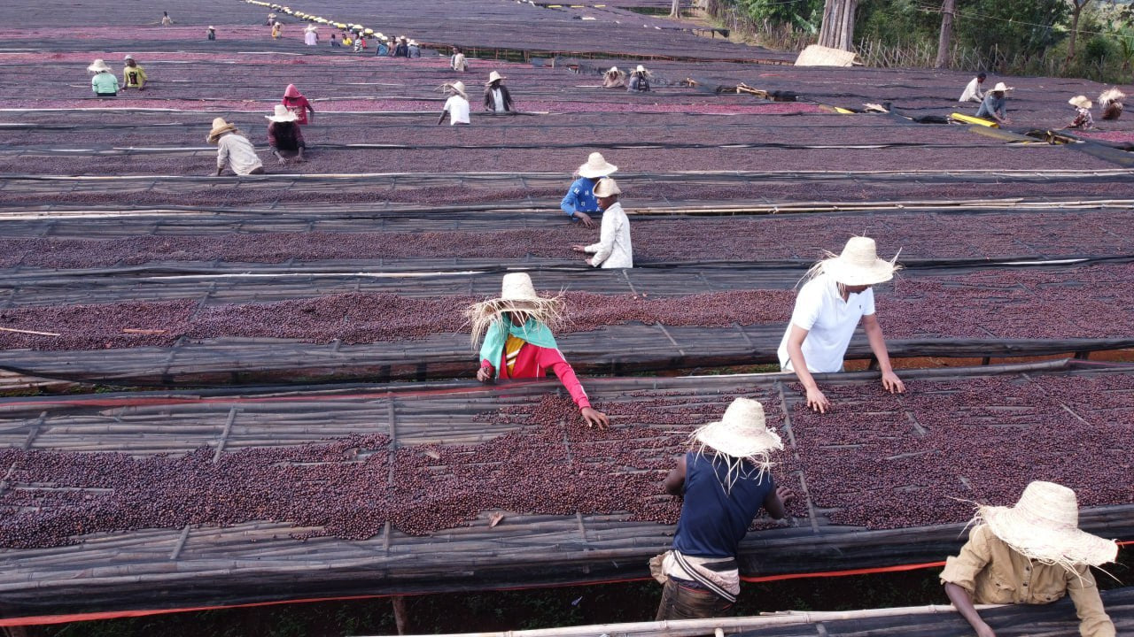 Ethiopia Banko Chelchele Natural