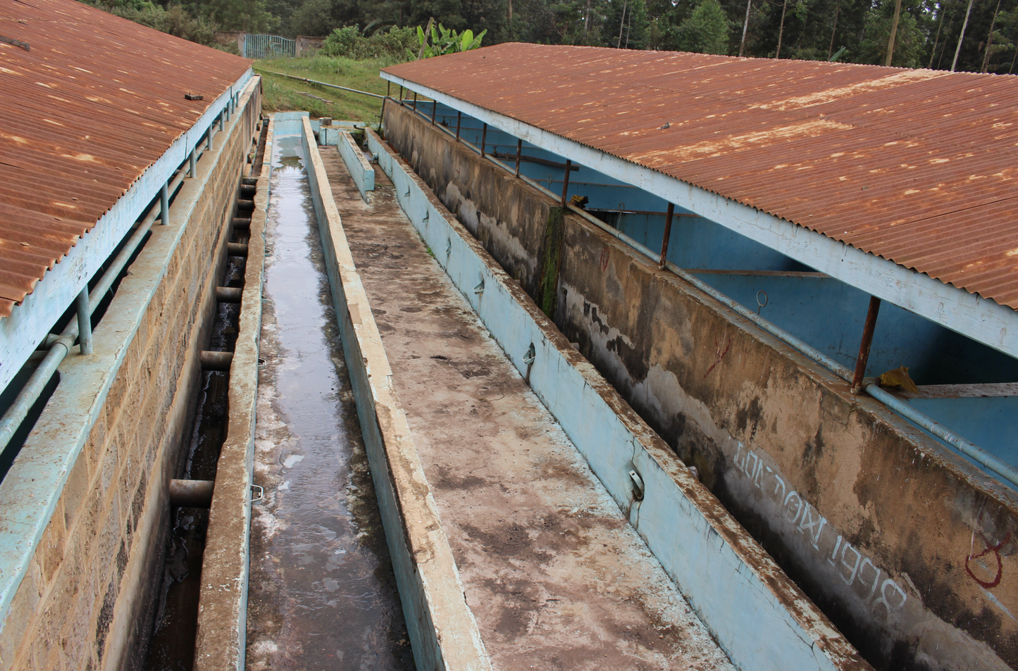 Kenya Kirinyaga Inoi Ndimi Washed