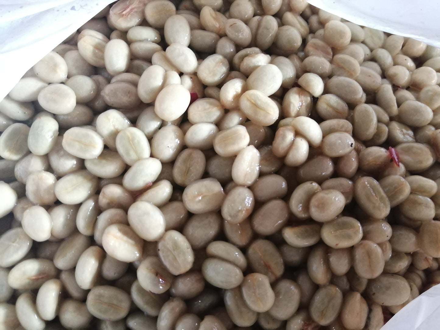 Peru - La Higuera Organic