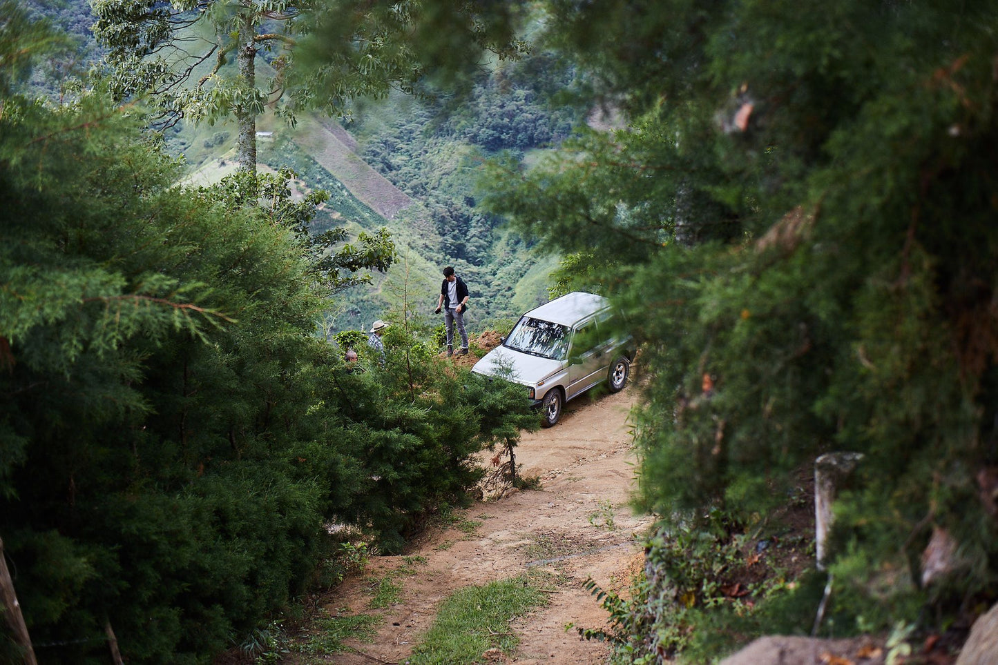 Colombia Villa Luz Huila Washed