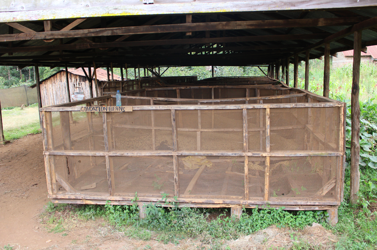 Kenya Kirinyaga Inoi Ndimi Washed