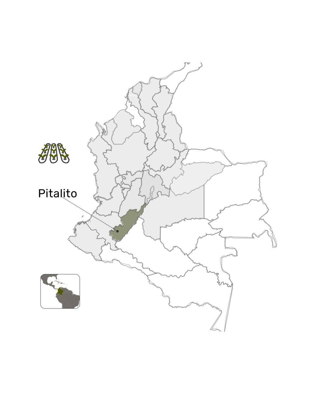 Colombia La Soledad Papayo Washed