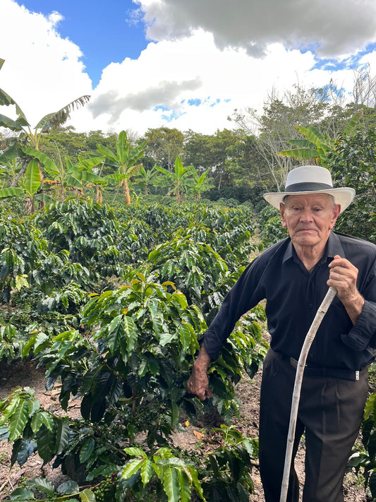 Colombia La Esperanza Aji Bourbon Honey