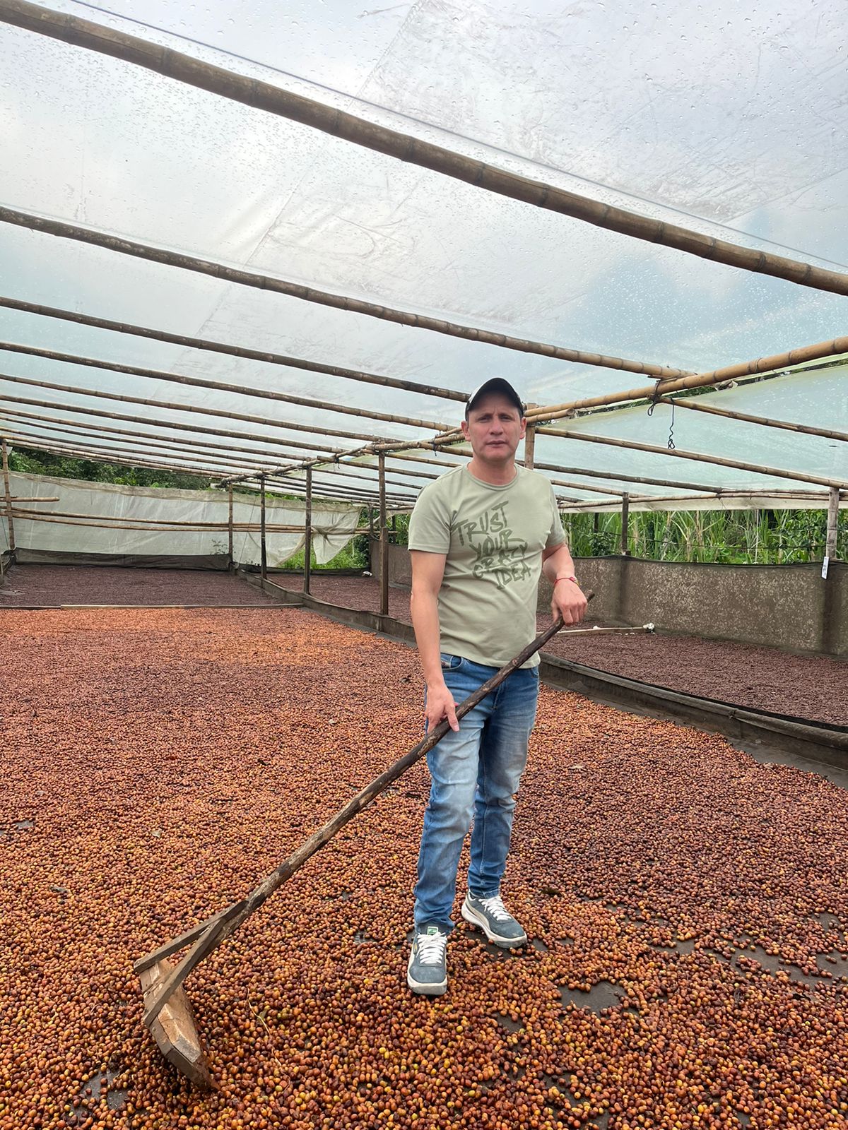 Colombia San Gabriel Sidra Bourbon Natural