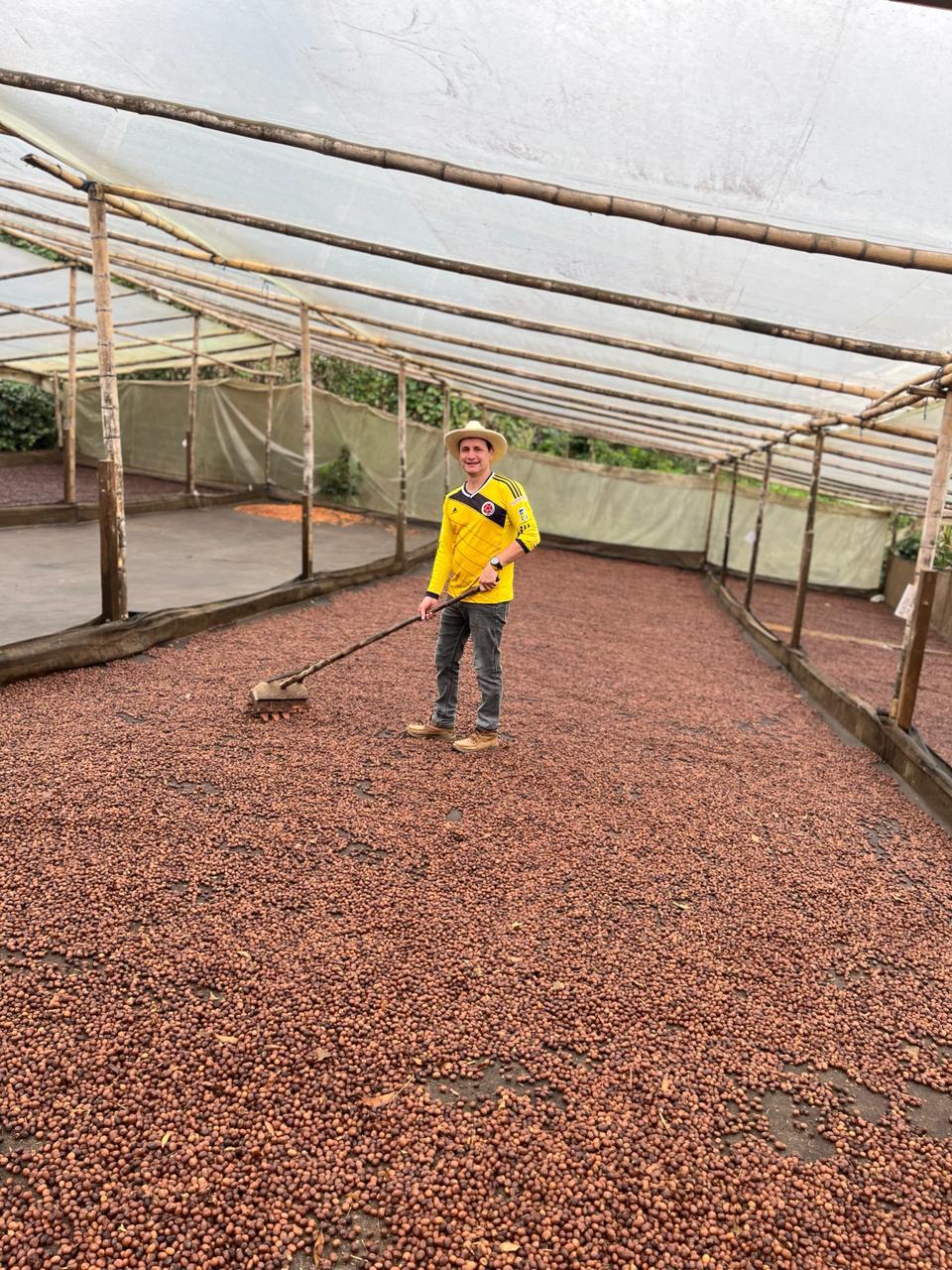 Colombia San Gabriel Sidra Bourbon Natural