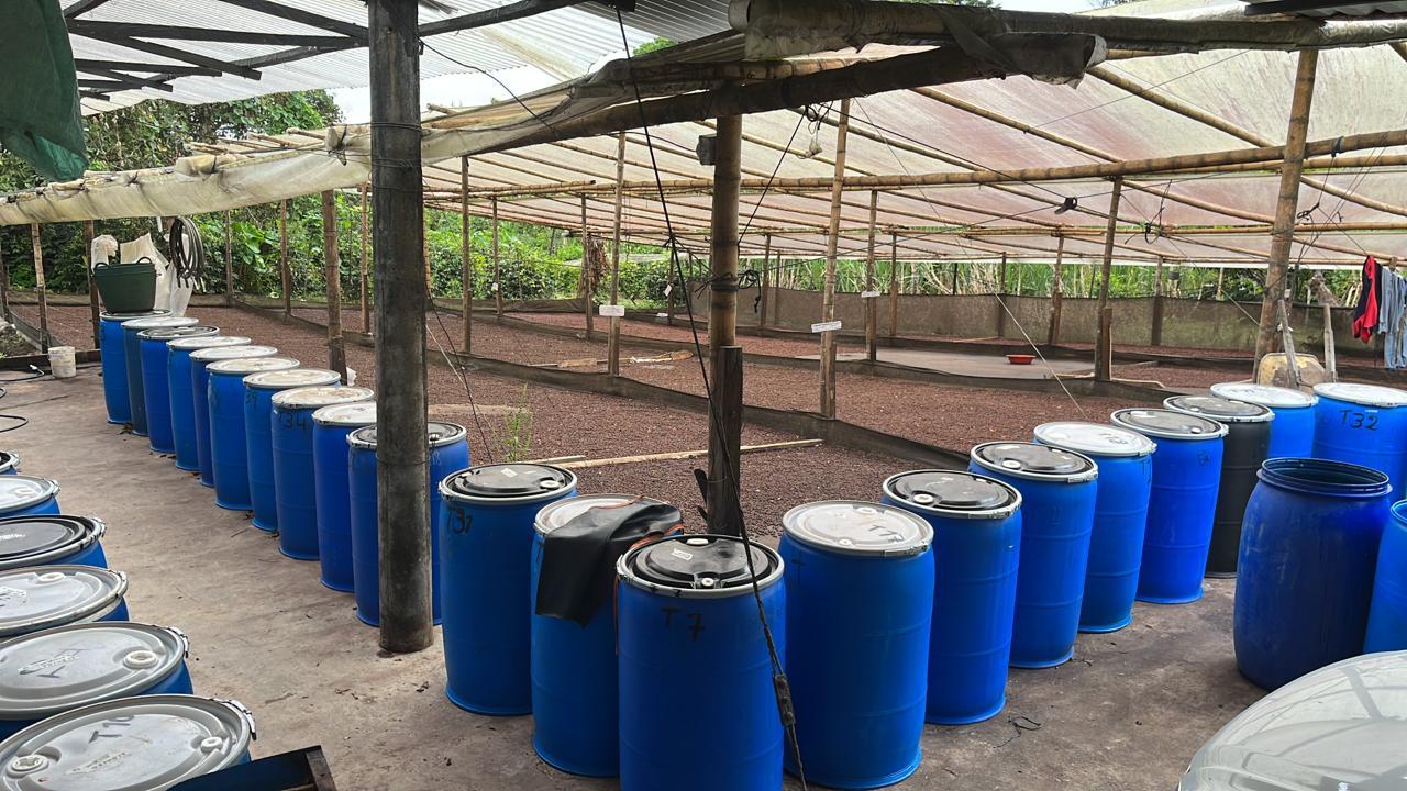 Colombia La Esperanza Aji Bourbon Honey