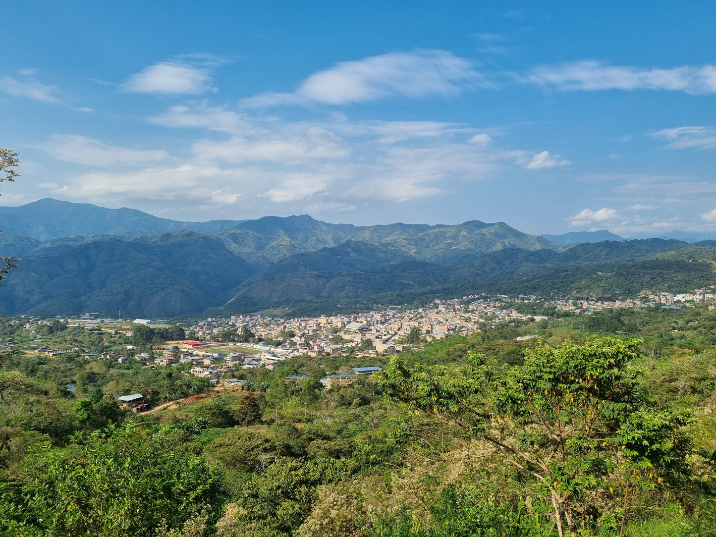 Peru - La Higuera Organic