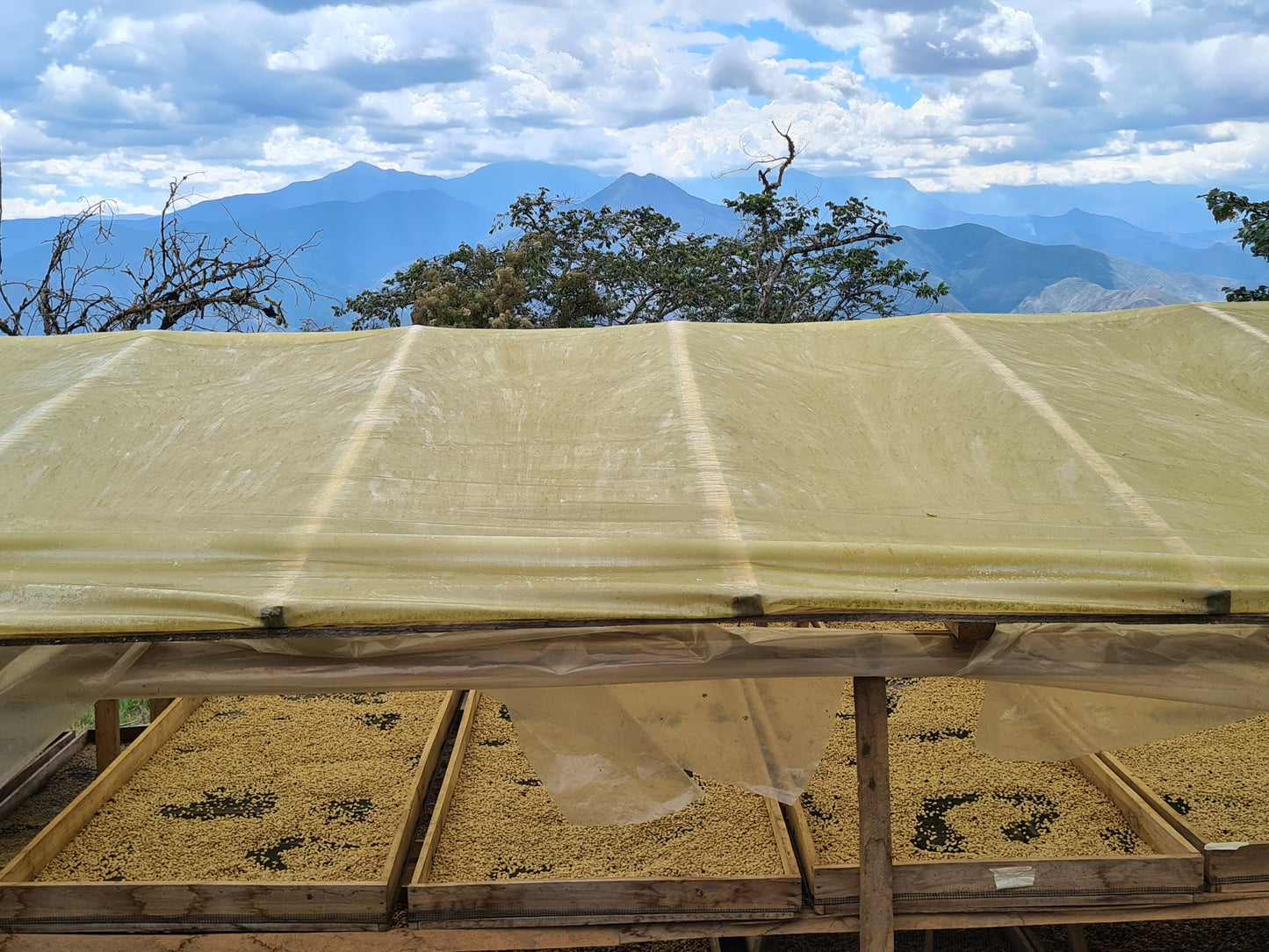 Peru - La Higuera Organic