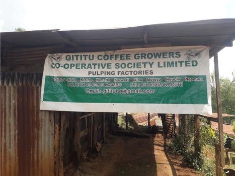 Kenya Nyeri Gititu Washed