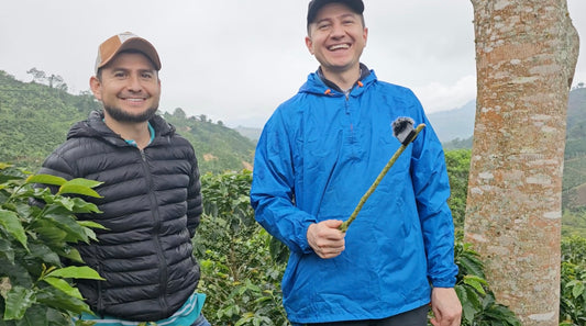 Colombia La Soledad Papayo Washed