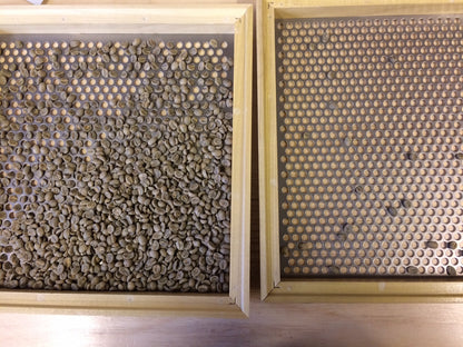 Kenya Kirinyaga Kabingara Washed