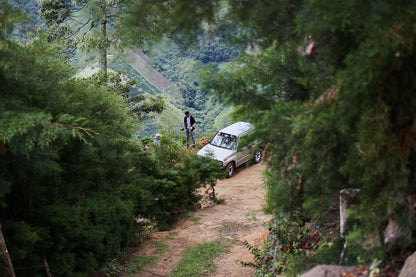 Colombia Villa Luz Huila Washed