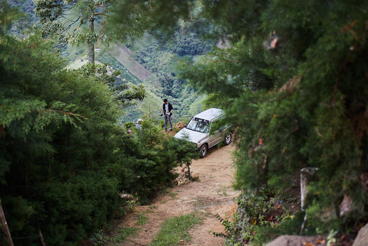 Colombia Villa Luz Huila Washed