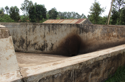 Kenya Kirinyaga Inoi Ndimi Washed