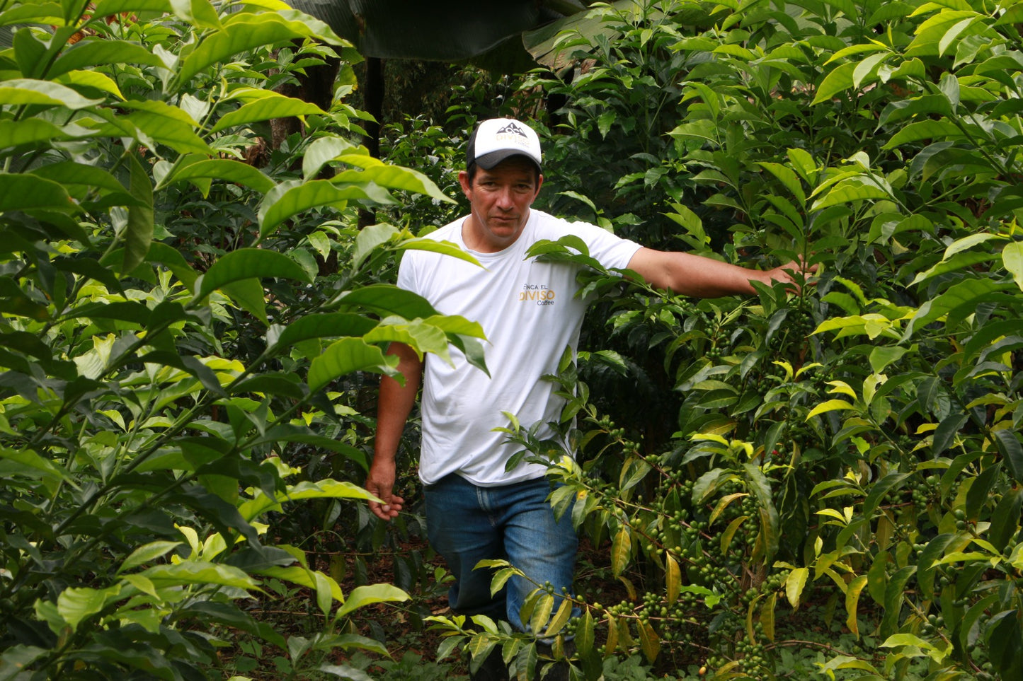 Colombia El Diviso Ombligon Natural