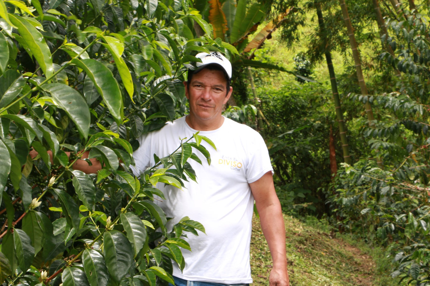 Colombia El Diviso Ombligon Natural