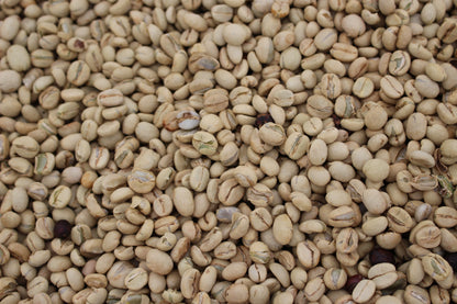 Kenya Kirinyaga Inoi Ndimi Washed