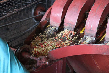 Kenya Inoi Kerugoya Washed