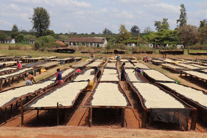 Kenya Inoi Kerugoya Washed