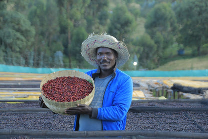 Ethiopia Banko Chelchele Natural